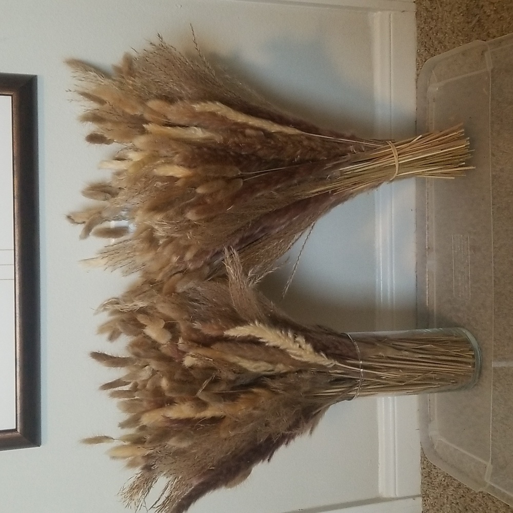 Large bunches of Pampas.